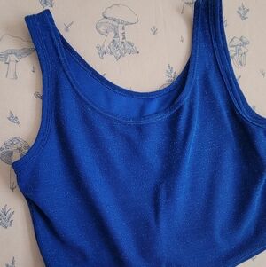 Sparkly Blue Crop Top